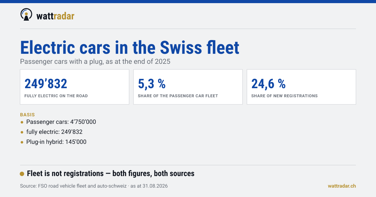 Electric cars in the Swiss fleet — Passenger cars with a plug, as at the end of 2025
