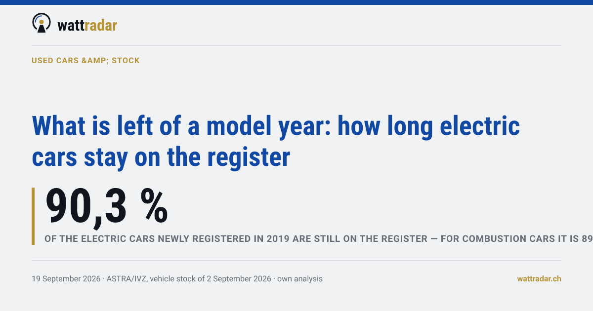 What is left of a model year: how long electric cars stay on the register