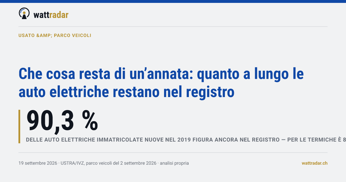 Che cosa resta di un’annata: quanto a lungo le auto elettriche restano nel registro