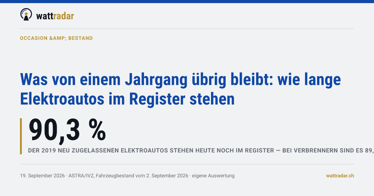 Was von einem Jahrgang übrig bleibt: wie lange Elektroautos im Register stehen