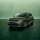 Škoda Enyaq in Olivgrün, Halbfrontansicht vor grünem Hintergrund